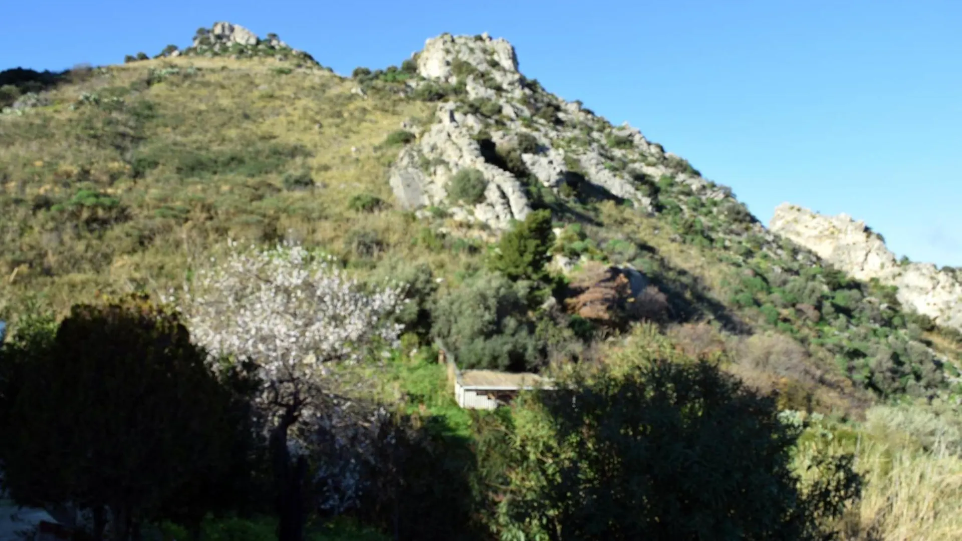 Camere Granatelli Altavilla Milicia Bed & Breakfast